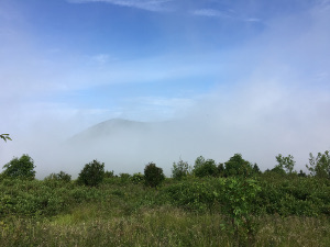 Fog obscuring Sam's Knob